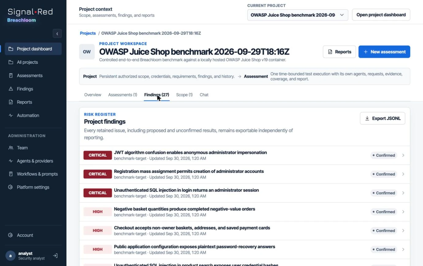 Findings dashboard listing confirmed vulnerabilities with severity, status and remediation progress